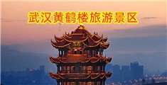 干逼免费网站