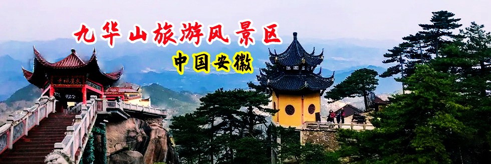 看免费大黒逼色视频