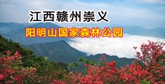 我想要鸡吧日逼嗯啊好舒服啊嗯我要吃鸡吧快点日逼好舒服啊嗯我要